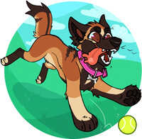 U HAVE NO SWAG THATS WHY U NO REPLY LOSER