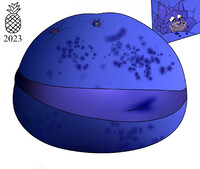 (Com) Ruru Blueberry Inflation 3