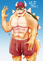 Bowser (part1)