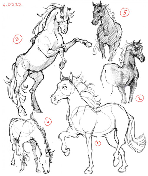 How To Draw Animals Horses 5