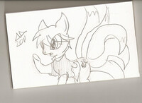 Different version pony Frost