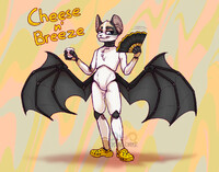 Cheese yellow clogs