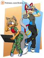 Commission. Sonic OC duo