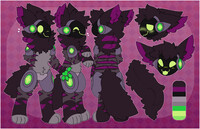 [C] Pip