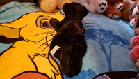 Plushie Collection [234]: 16" Animal Alley Black Panther