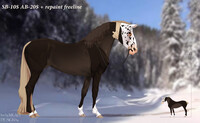 HORSE ADOPT/OPEN