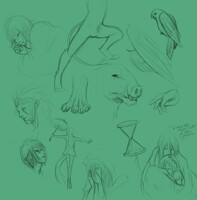 Insomnia doodles