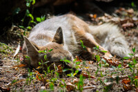 Knocked out in the sun