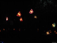 Ghosts In The Night