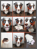Australian Shepherd ! NEW !