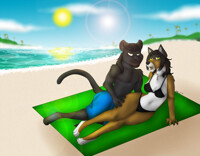 com - Fun in the sun