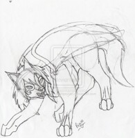 The Fearless Bandit Sketch 