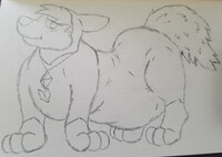 Kishk before she destroys