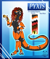 Pyxis Reference Sheet