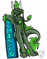 shinacocrystal fullbody  badge