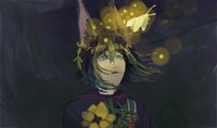 butterfly