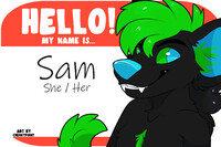 Hyena Badge sam (sale $7.50)