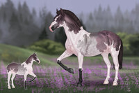 #710 Horse Adopt Auction [OPEN]