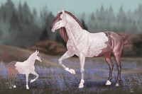 #711 Horse Adopt Auction [OPEN]