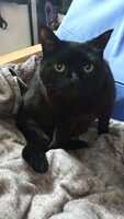 In loving Memory - Our little angel Yuri