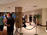 Brok-ouflage - Confuzzled 2023 Monday