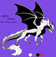 Cedric Shaye Refrence