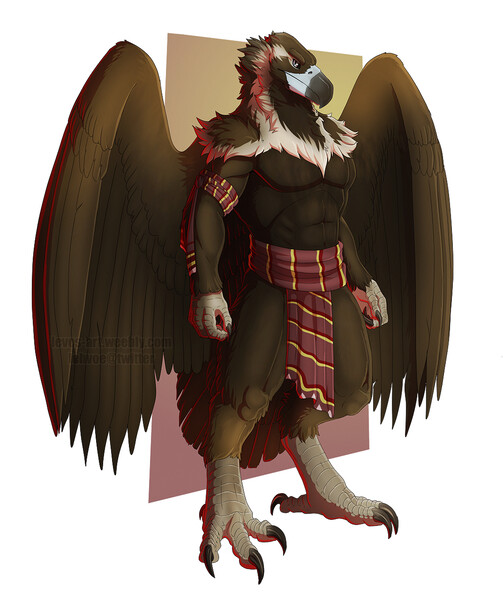 Cinereous Vulture Aarakocra Adopt Closed By Essence Of Rapture Fur Affinity Dot Net
