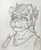 Tiger Husband