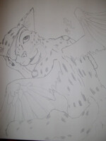 Ocelot Nayoko with foresight