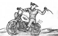 The road rasher