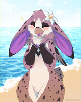 Beach birb