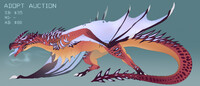 Adopt Auction [CLOSED]