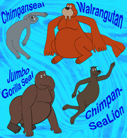 Sea Apes