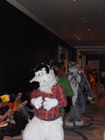 FC 2011 Fursuit Parade