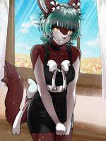 Hoenn_Otaku
