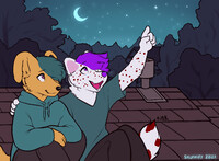 Ych for pnyboy42