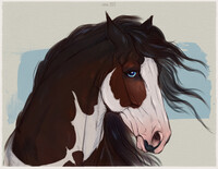 Cassio