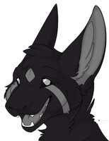 Fearless the Dutch Angel Dragon Happy Smile 2023
