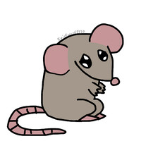 Little rat