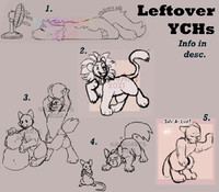 Leftover YCHs - 5/5 OPEN