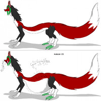 sayda form dragon(sisu)