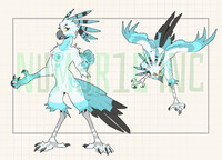 Sky Blue Secretary Bird Adopt - OPEN