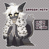 DRAGON MOTH ADOPTABLE