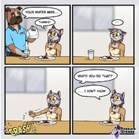 Why do cats ..
