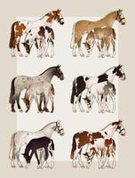 Equine Adoptables 07 || OPEN