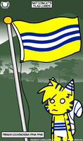 NationCats Flag Cards - Argentina by BlinxCat -- Fur Affinity [dot