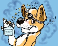 Drunky Corgi- Livestream
