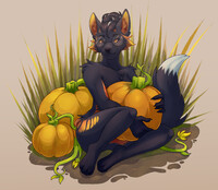 Pumpkin Field [COMM]