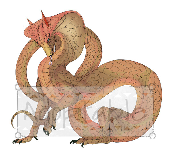 half dragon half snake