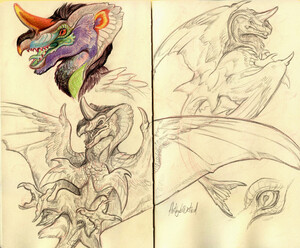 Sketch dragon by Bazted -- Fur Affinity [dot] net